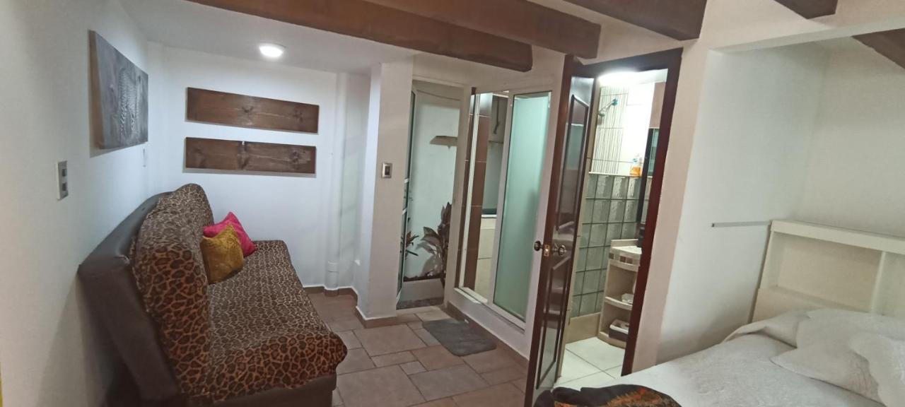 Casa Kalidy Coyoacan Мехіко Екстер'єр фото